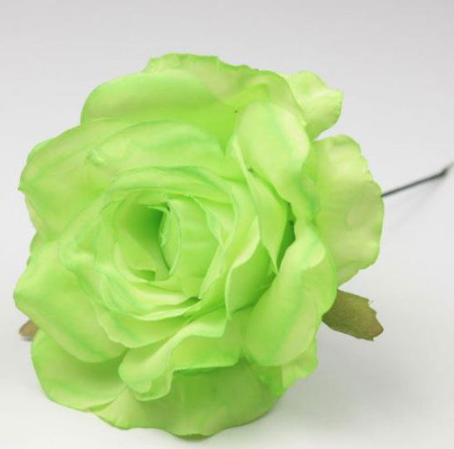 Petite rose de Cadix. 10cm. Vert Pistache VR80